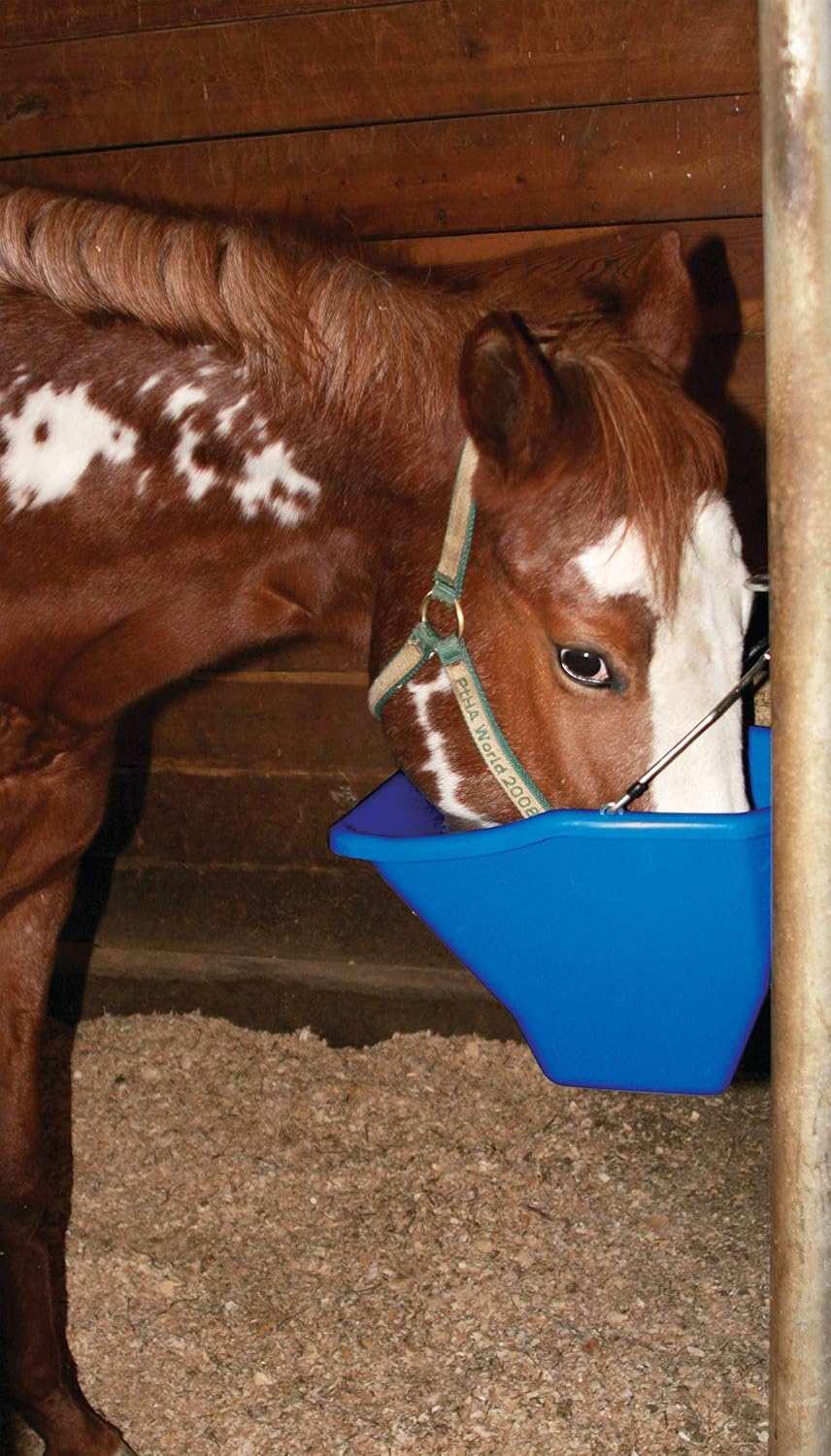 Plastic Better Bucket | Horse Feed Bucket | Ergonomically Designed | Flat Back Bucket | Made in USA | 20 Quarts | Blue