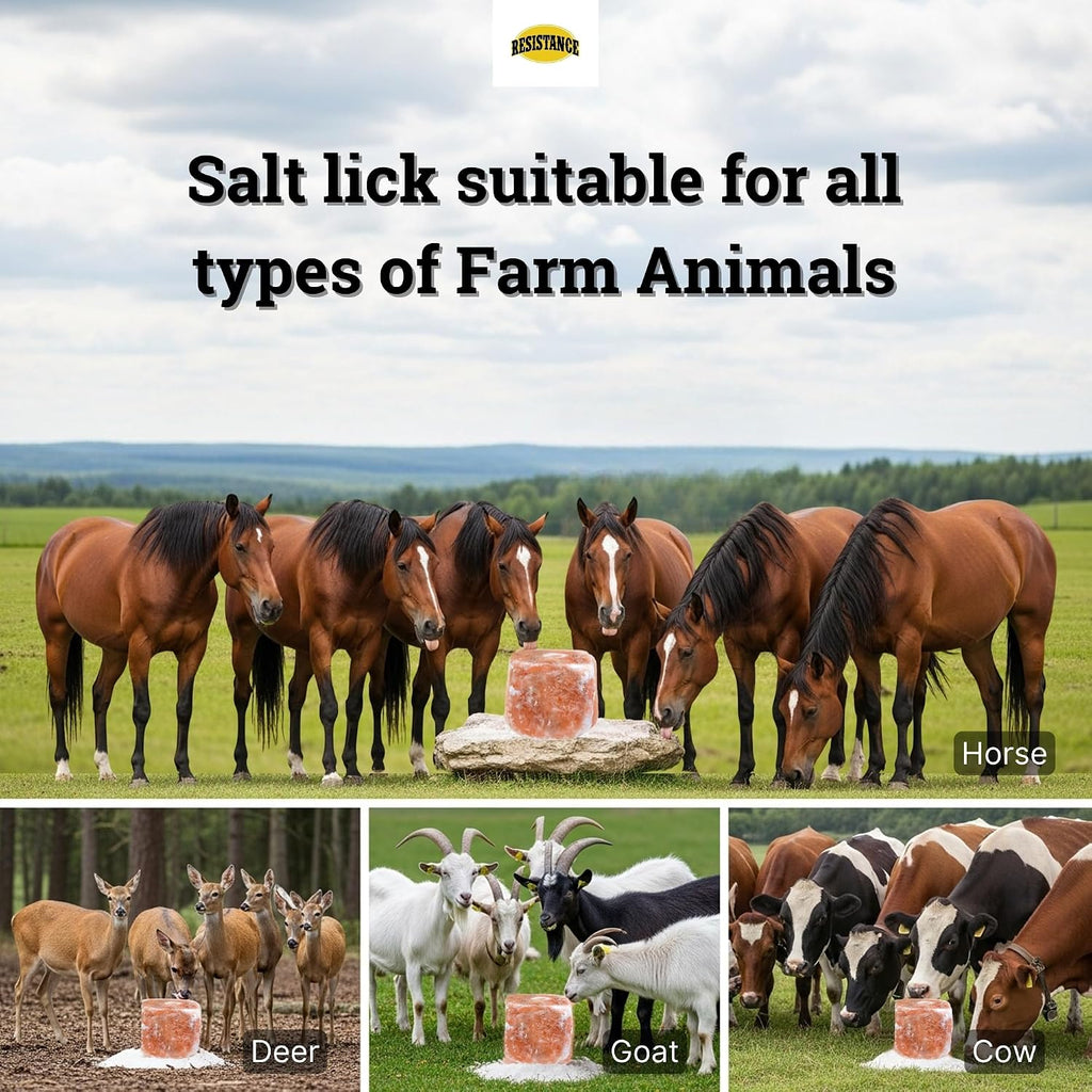 Himalayan Salt Lick 2lb Block on Rope for Horses, Cattle, Deer, Goats, and Livestock – Pack of 4 Blocks