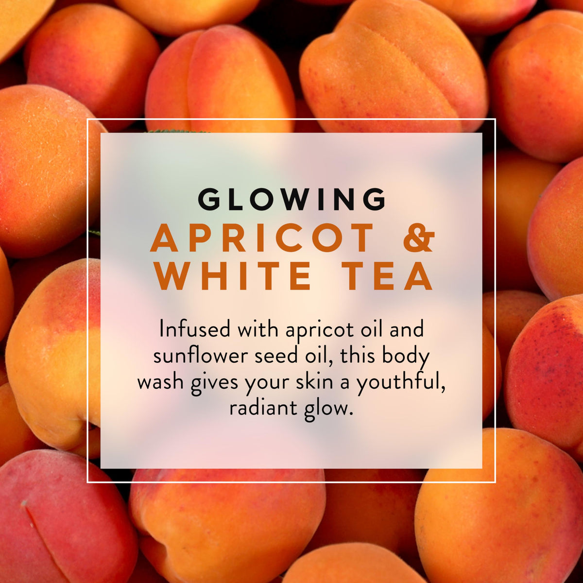 Apricot and White Tea Glowing Body Wash