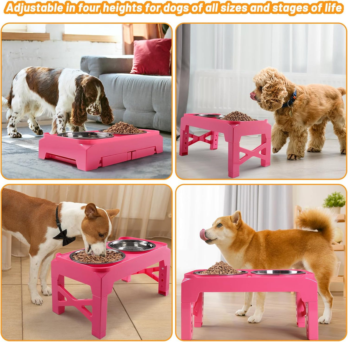 Elevated Dog Bowls with 2 Stainless Steel Dog Food & Water Raised Bowls with No Spill Edge Non-Slip Stand Adjusts to