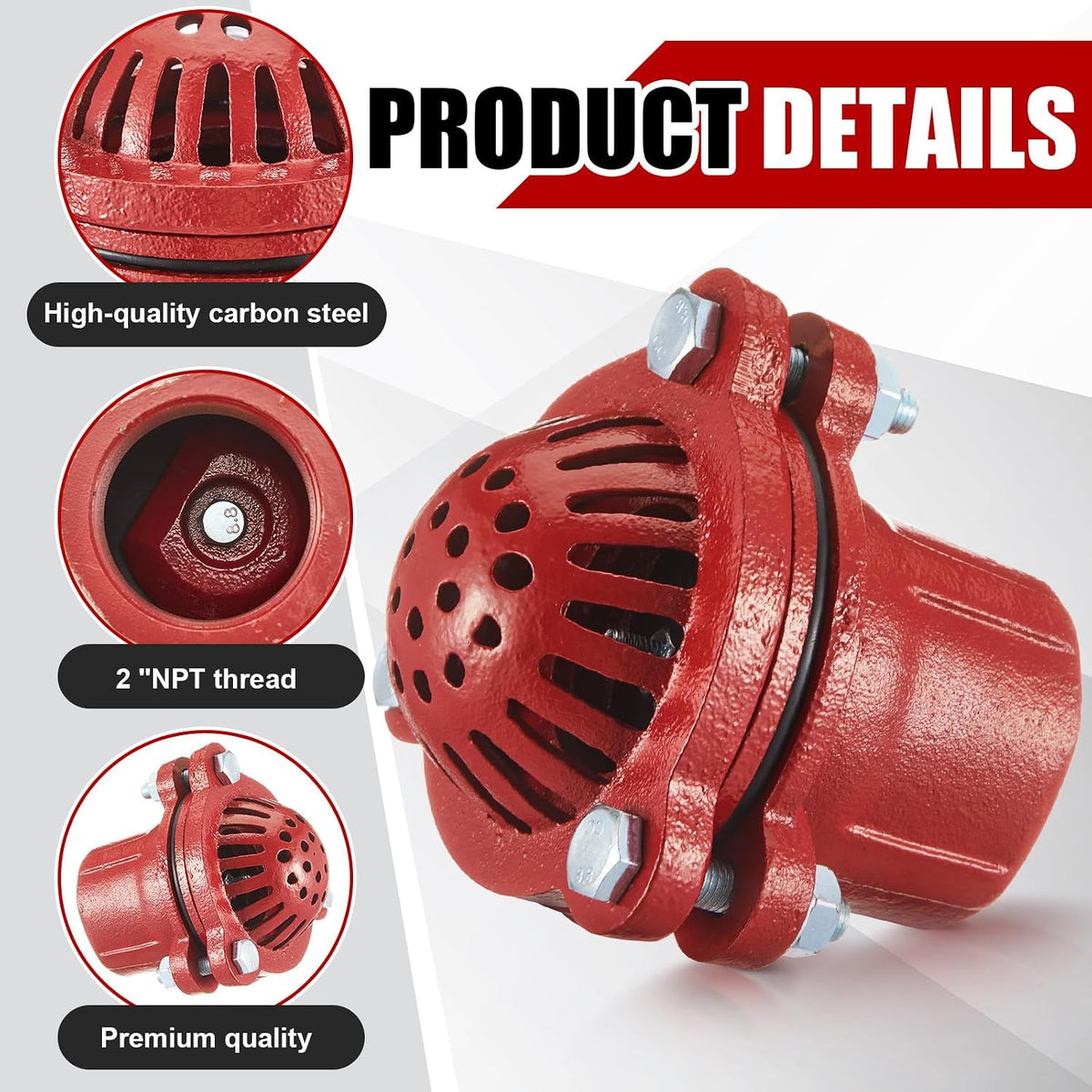 Cast Iron Foot Valve, NPT Threaded Check Valve with Strainer, 2 Inch