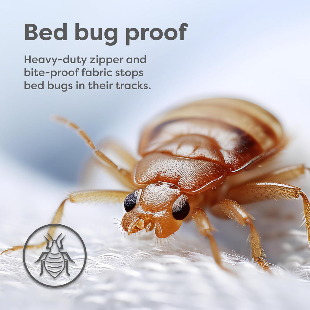 Box Spring Encasement - Zippered Bed Bug Dust Mite Proof Hypoallergenic - Sleep Defense System - Queen –60" W x 80" L