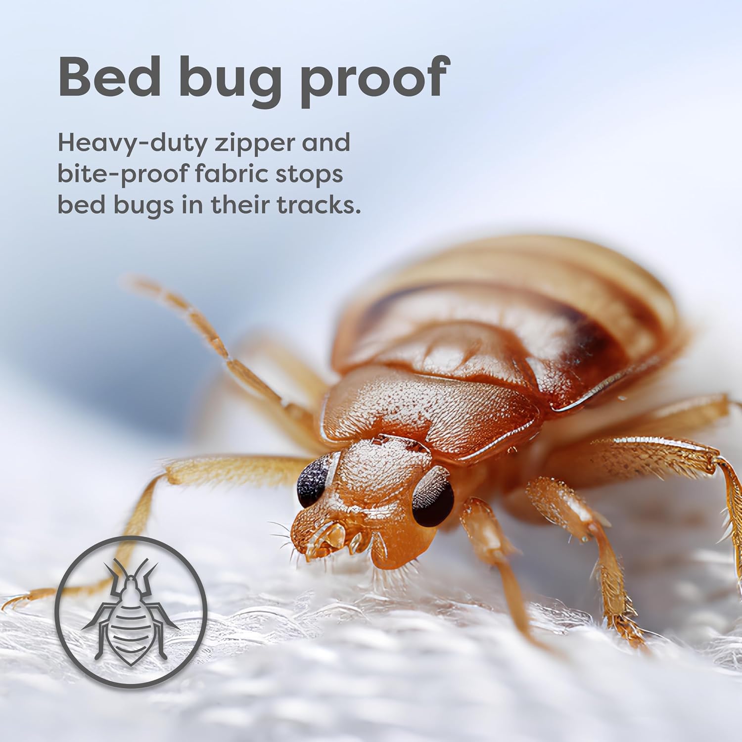 Box Spring Encasement - Zippered Bed Bug Dust Mite Proof Hypoallergenic - Sleep Defense System - Queen –60" W x 80" L
