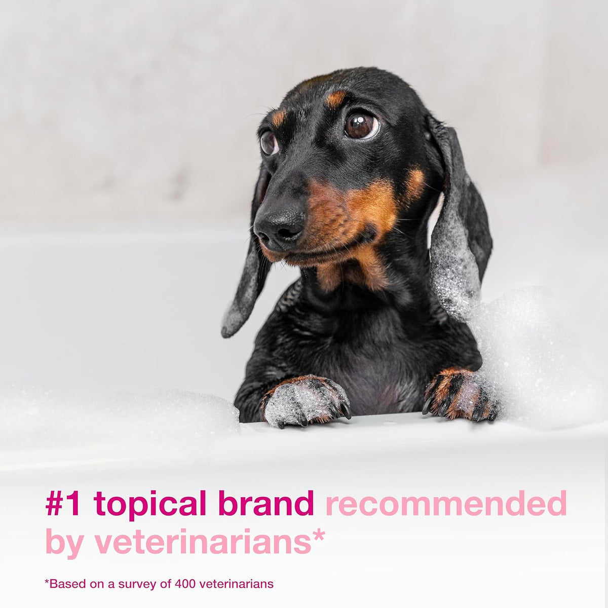 S3 Calm Dog Shampoo for Itchy Skin Relief, Dog Shampoo for Allergies and Itching, Soothes Itchy, Irritated or