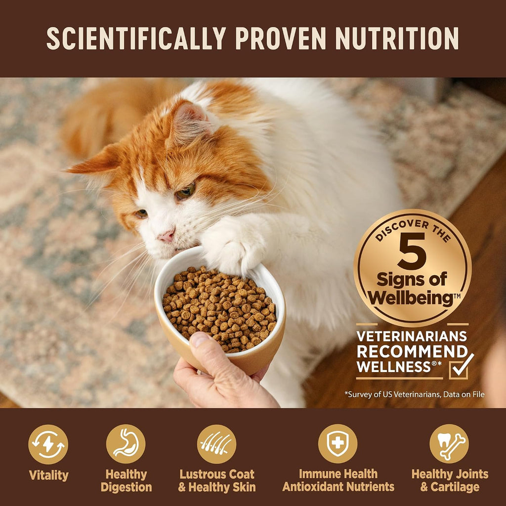 CORE Kitten Dry Cat Food, Natural, Grain Free Kibble, Turkey Meal and Chicken Recipe, 5 lb Bag