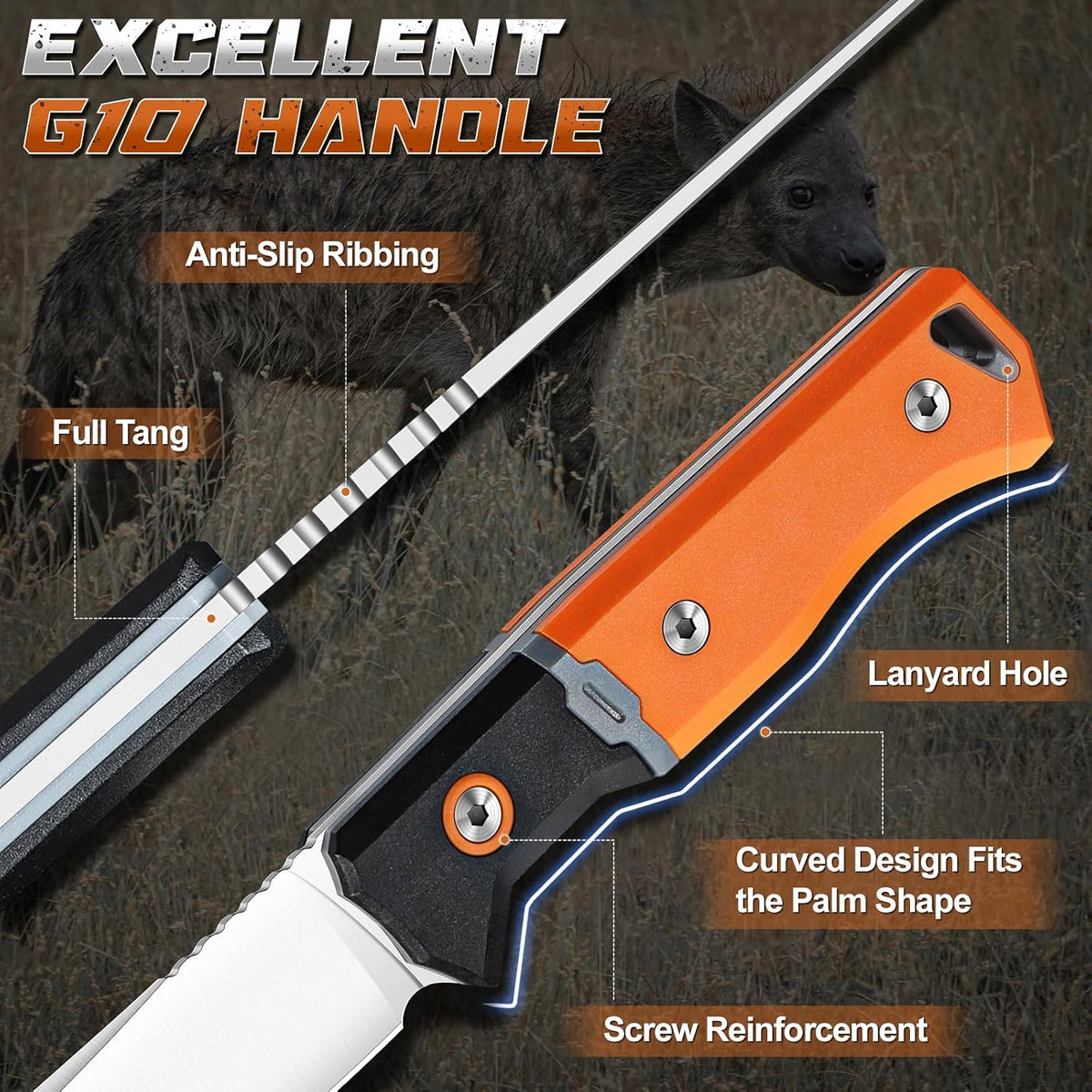 Outdoor Knife for Boning - Trailing Point Boning Knife Orange