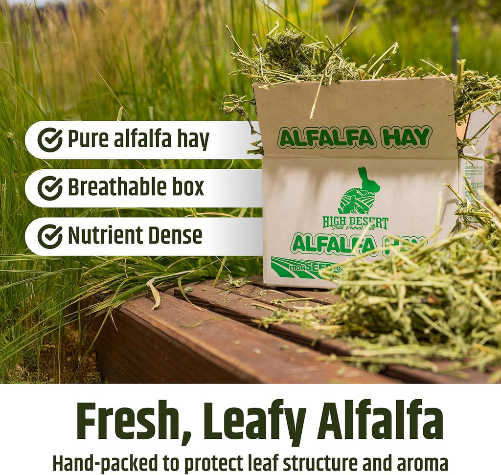 Alfalfa Hay for Young Rabbits and Guinea Pigs, 5 lb Box