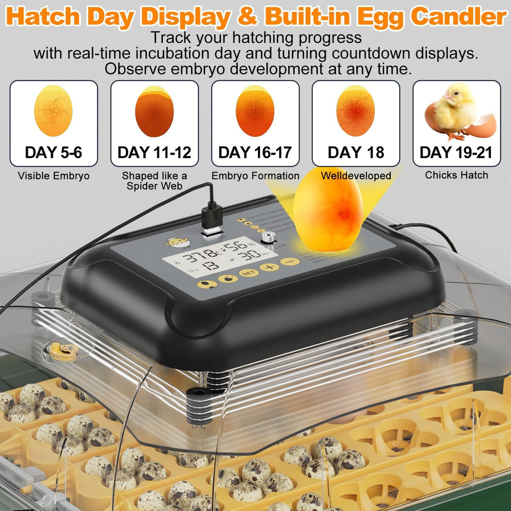 125 Egg Incubator for Hatching Eggs with Automatic Egg Turning, Temperature & Humidity Display, Hatch Day Countdown