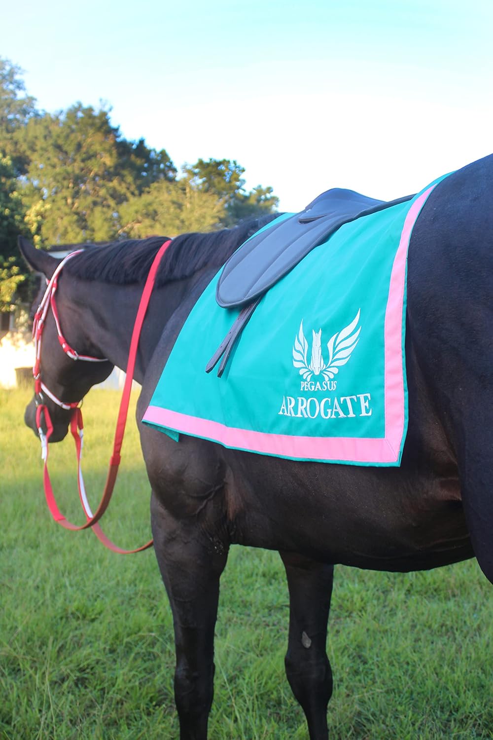 Custom Saddle Towel with Trim, Embroidered Saddle Pad for Horses
