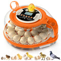 26-Egg Incubator for Hatching Eggs, Auto Turning, Temp & Humidity Control