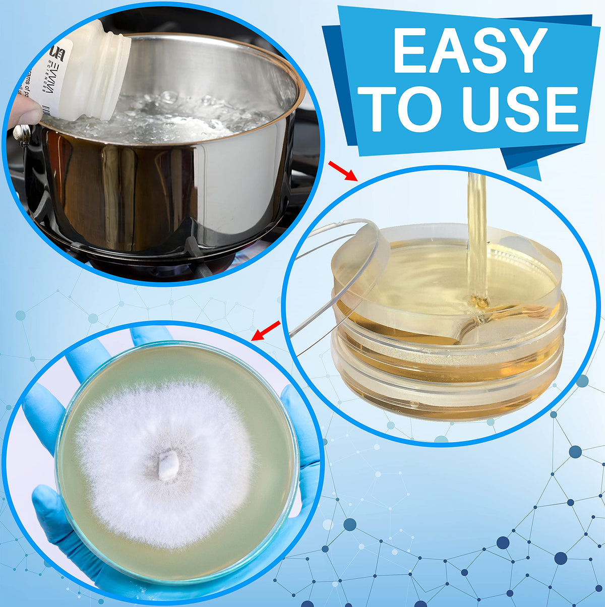 Malt Extract Agar Powder 500 Grams - Evviva Sciences - Make Over 500 Agar Petri Dishes - Premium Performance