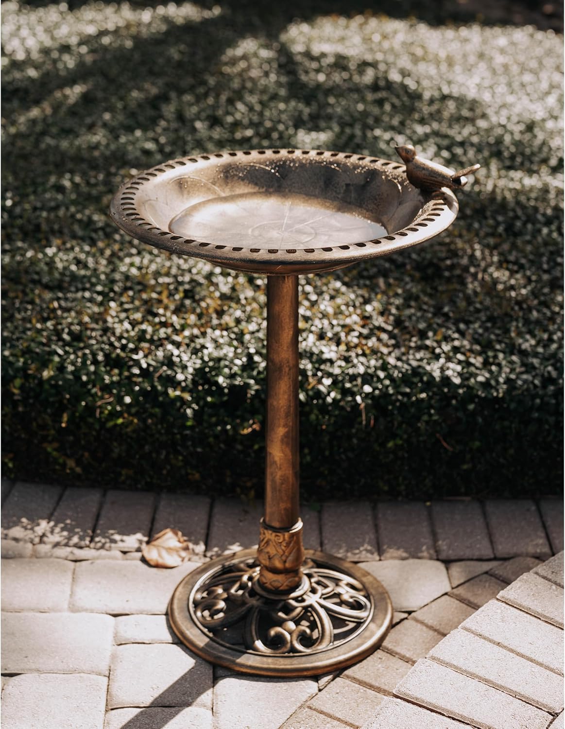 Backyard Expressions Bird Bath for Outside, 30 in Pedestal Birdbath, Bronze