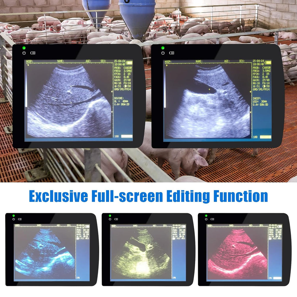 2026 Veterinary Ultrasound Machine for Pregnancy Professional Vet Handheld Scanner B-Ultra Sound with 6.5MHz Rectal