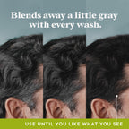Control GX Gray Reducing Shampoo, Keratin, 6 Fl Oz (1 Pack)