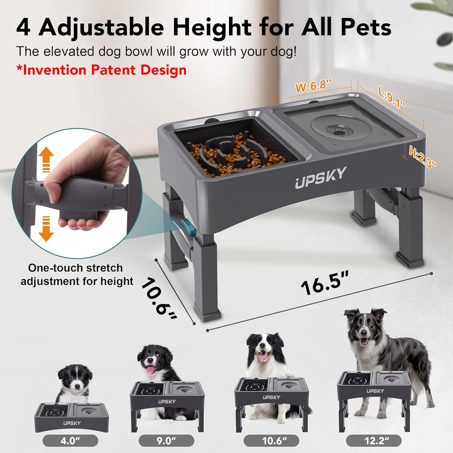2-in-1 Elevated Dog Bowls Slow Feeder, 4 Height Adjustable Raised Bowl Stand, No Spill Dog Water Bowls, Anti-Slip