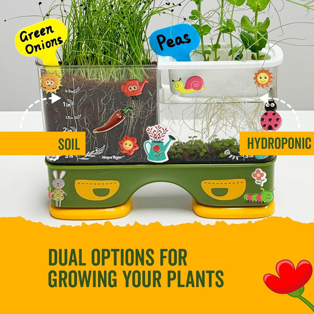 Gardening Root Viewer for Kids - Planting Kits with Seeds & Garden Supplies - Grow Your Own Seed - Home & Classroom