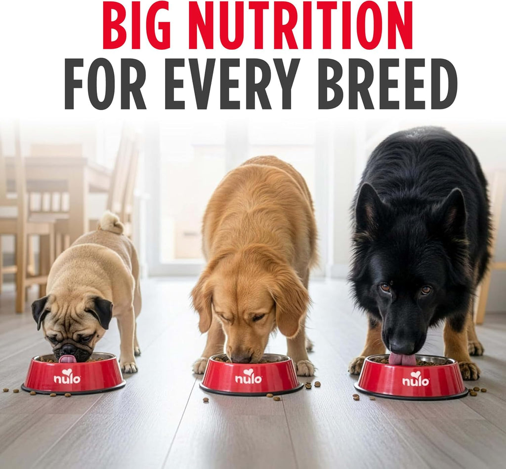 Frontrunner Dry Dog Food - Adult High-Protein Beef, Barley & Lamb Recipe, Natural Kibble with Ancient Grains