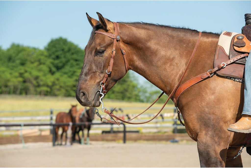 Stacy Westfall Horse Headstall, Leather, Adjustable Fit