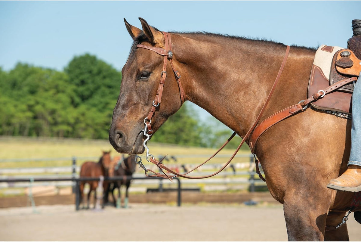 Stacy Westfall Horse Headstall, Leather, Adjustable Fit