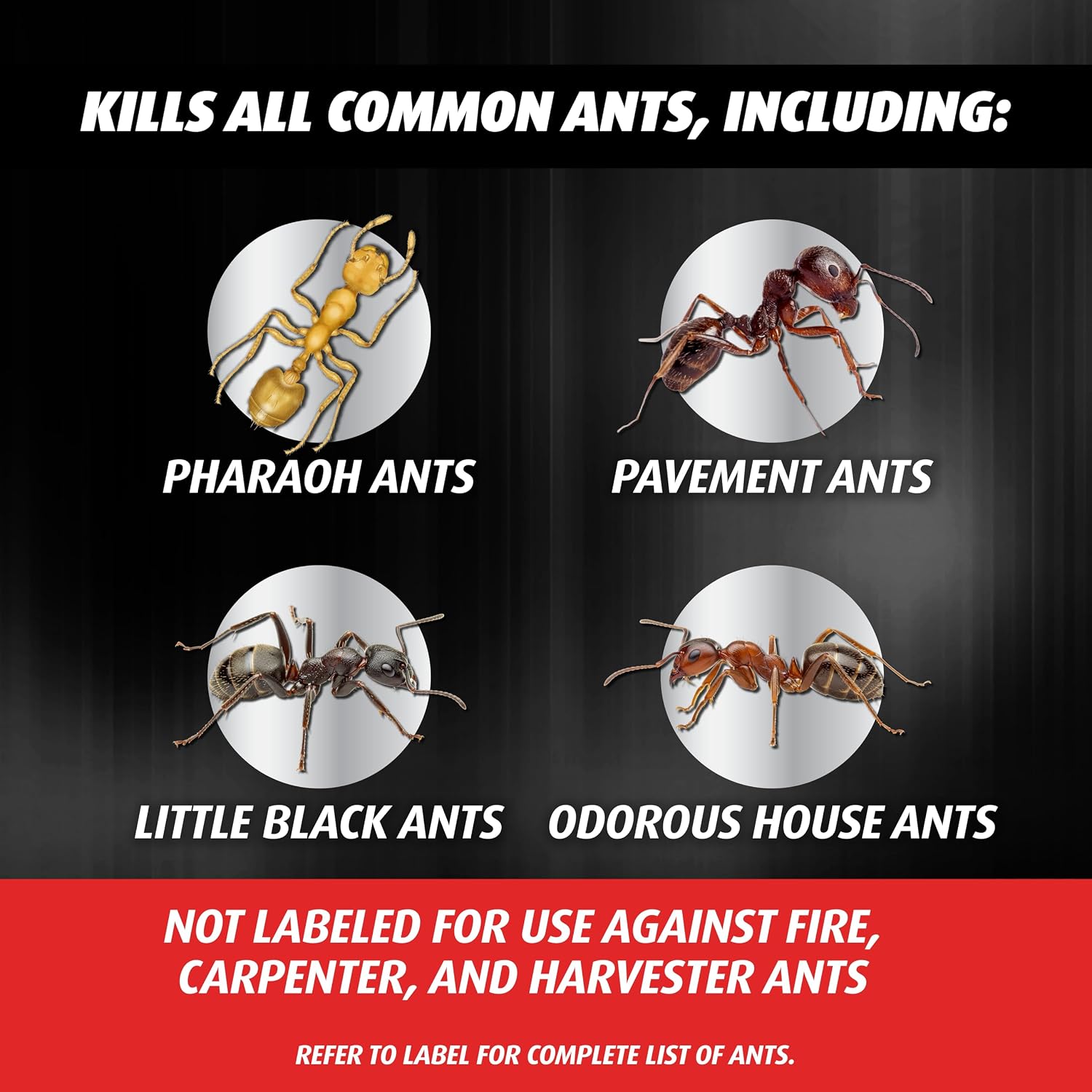 Orthene Ant Killer Ant Bait, 12 Bait Stations | Indoor Ant Killer, Kills the Queen and the Colony