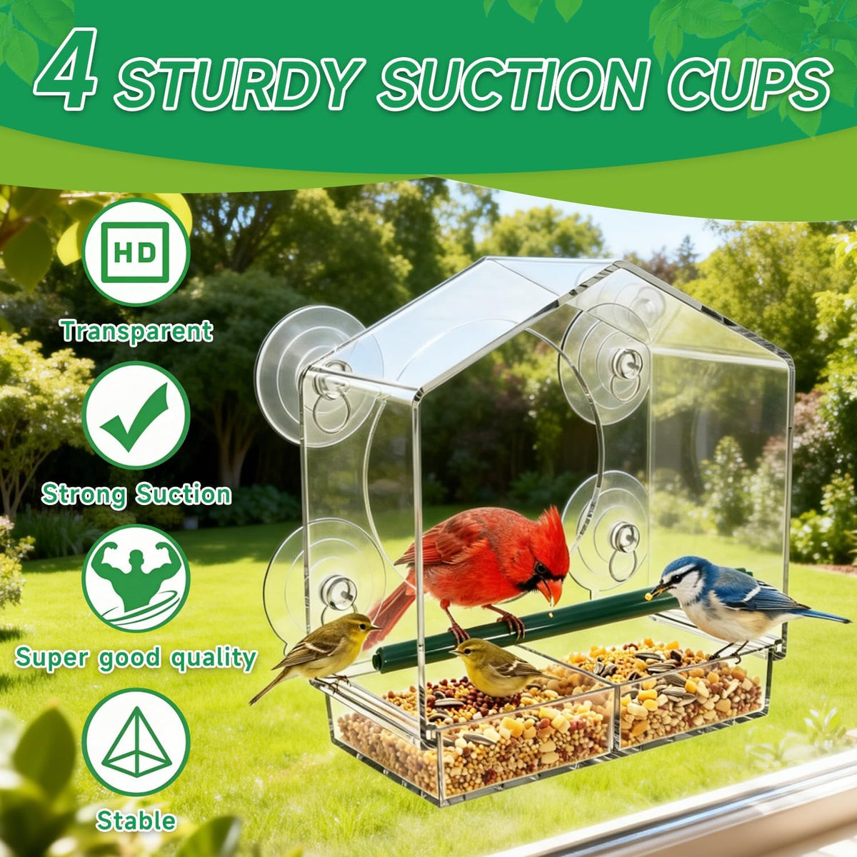 Window Bird Feeder with Strong Suction Cups (3-Piece Set). Two Seed Feeder Sizes + Hummingbird Water Station