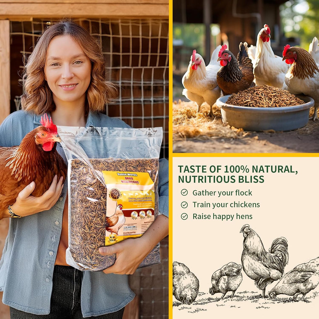 10LB Dried Mealworms for Wild Birds and Chicken