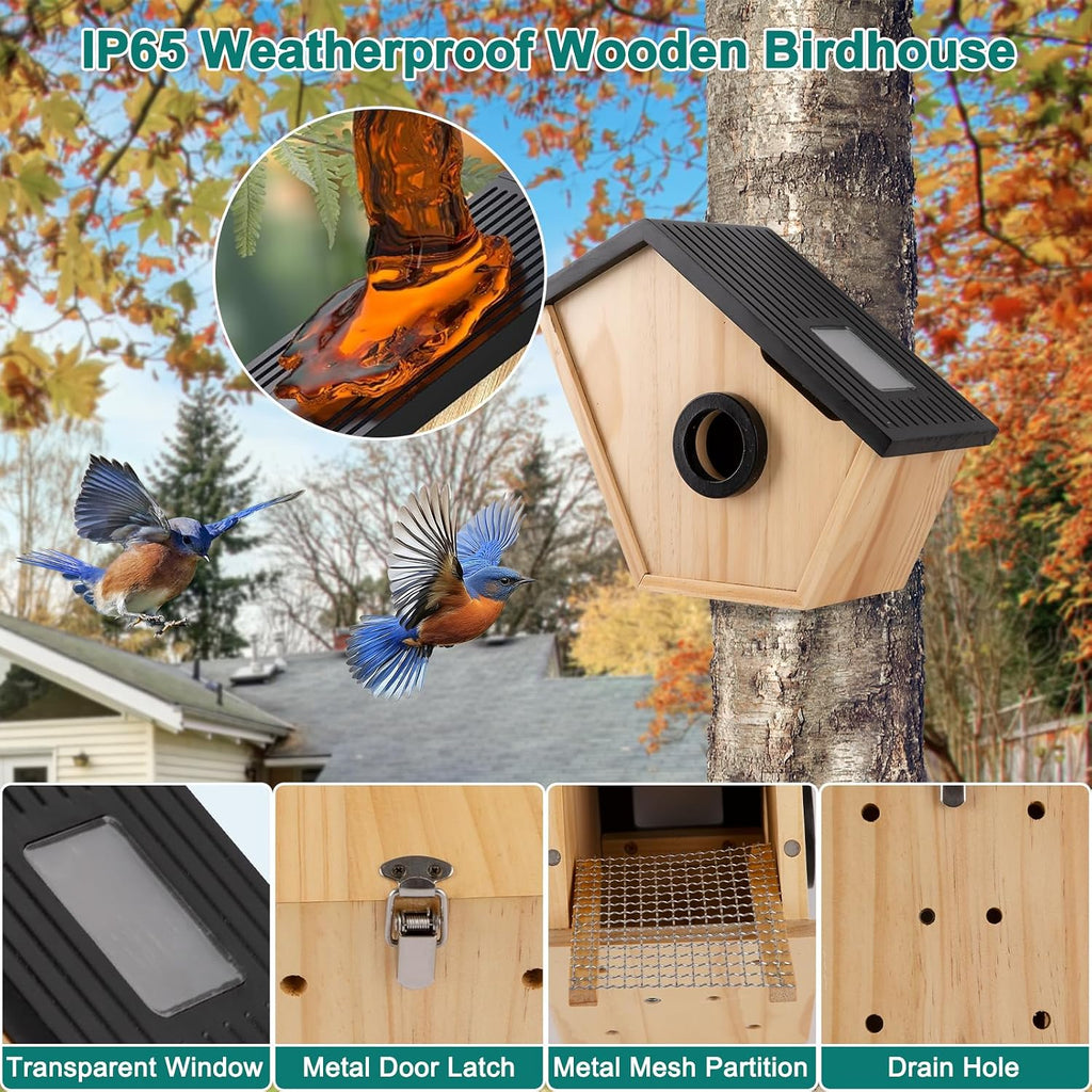 Smart Bird House with Camera,2K HD Bluebird House with Camera Solar Powered,Bird Watch Nesting and Hatching,Night