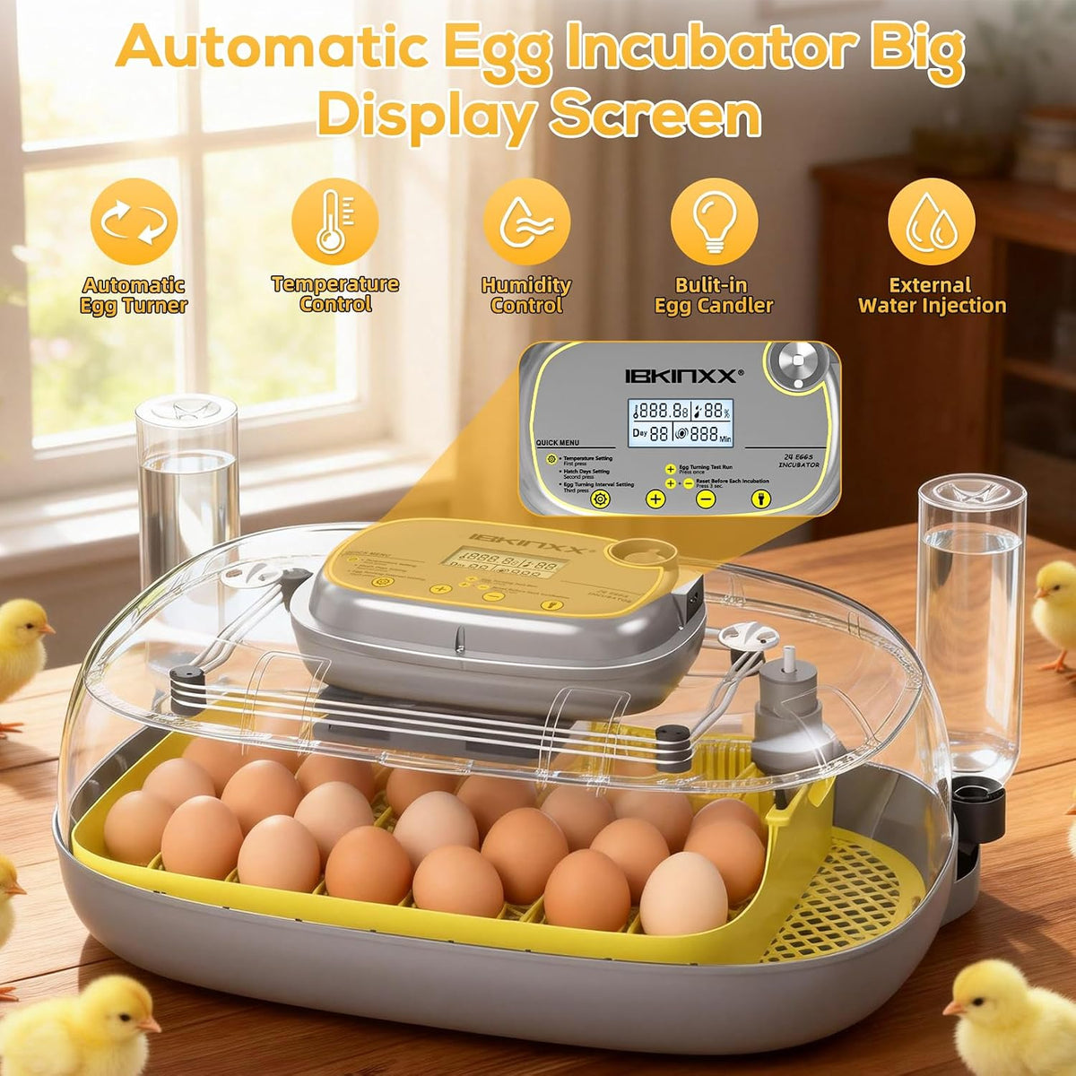 Incubator for Hatching Eggs - 24 Egg Capacity, 360° Viewing for Chicken
