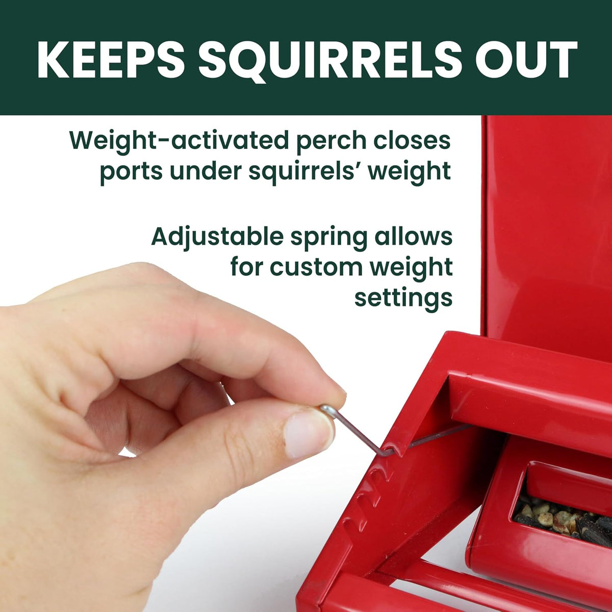 Squirrel-Be-Gone II Country Style Bird Feeder, 8 lb Seed Capacity