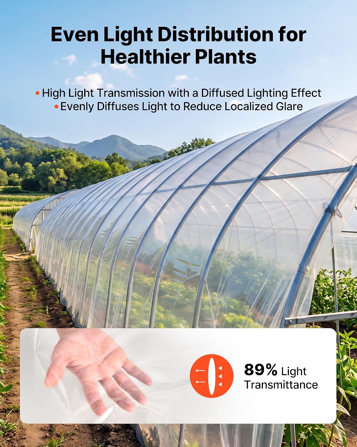 Greenhouse Plastic Sheeting 6 x 100 ft 6 Mil Clear Polyethylene Film