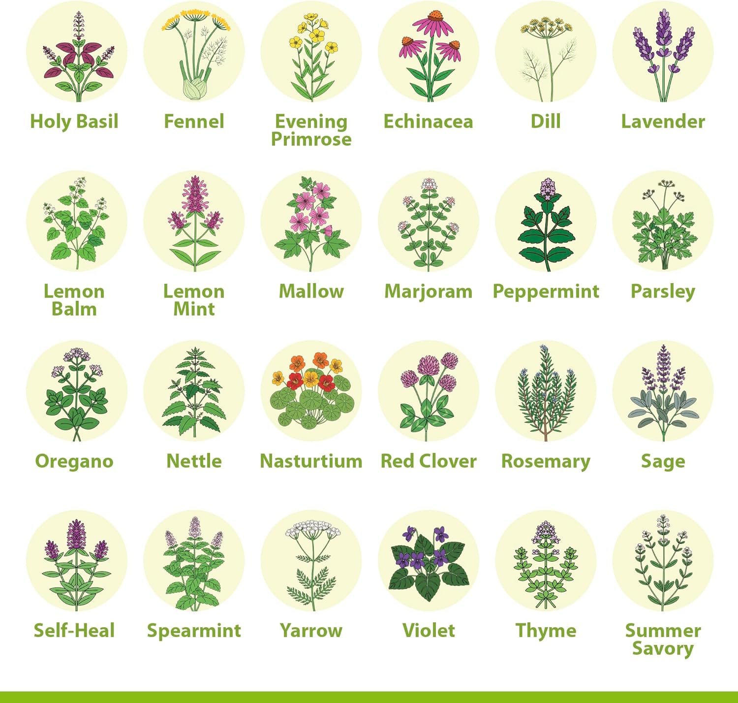 Medicinal Herb Seeds Variety Pack – 39 Heirloom Non-GMO Apothecary Seed Kit, Herbal Medicine & Tea Garden, Made in USA