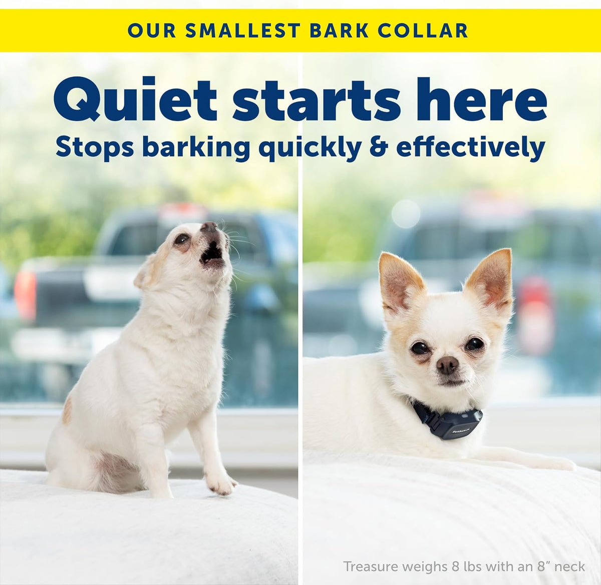 NanoBark 2.0 Bark Collar for Small Dogs
