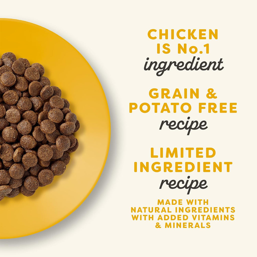 Complete Chicken Grain Free Dry Cat Food 4 lb Bag