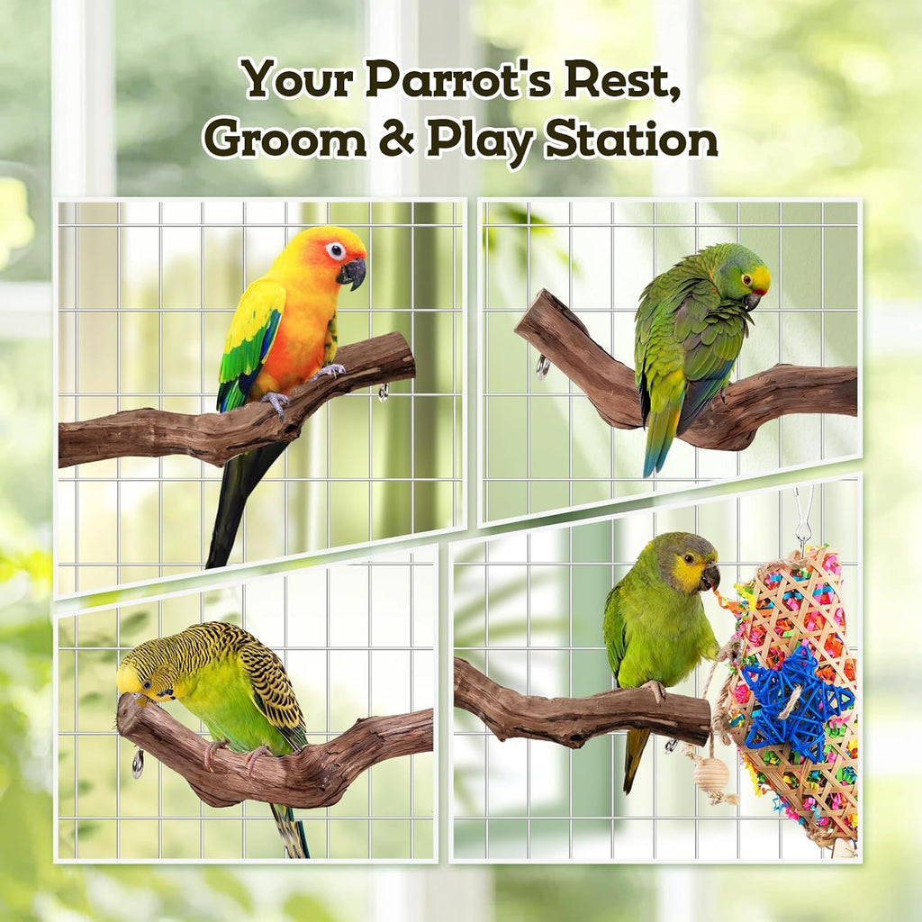 Bird Toys, Parakeet Foraging Toys, Hanging Chewing Toys with Natural Wooden Perches, Bird Cage Accessories, Suitable