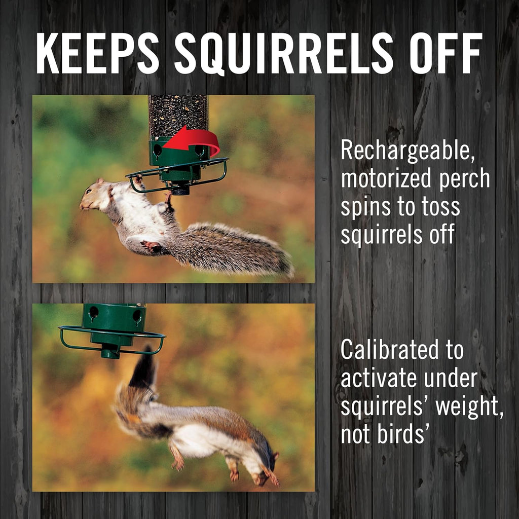 Squirrel Proof Bird Feeder for Outdoors, 5 lb Seed Capacity