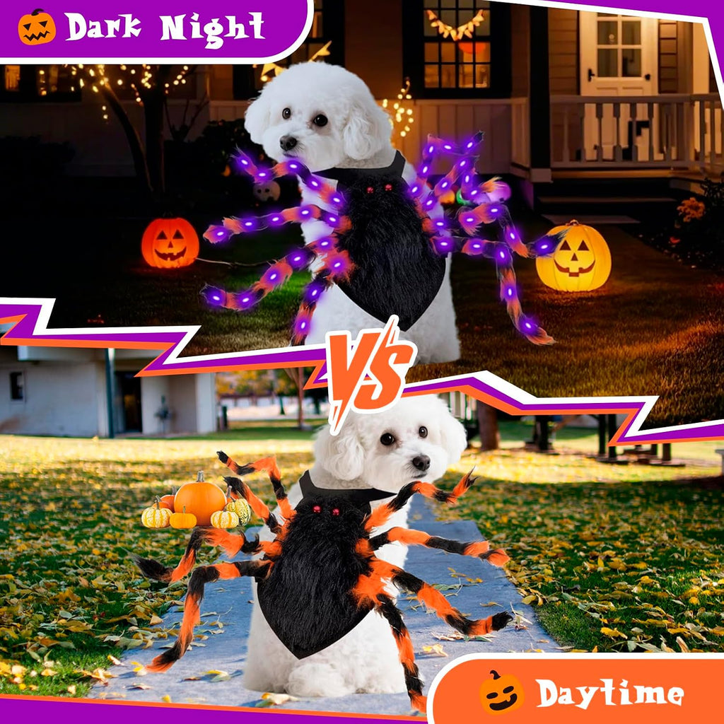 Halloween Spider Costume for Small Dog - Glowing Funny Cats Pet Costumes