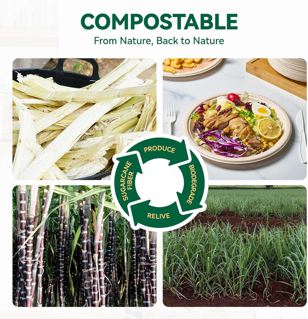 9 Inch Paper Plates Disposable Compostable Nature 150 Pack