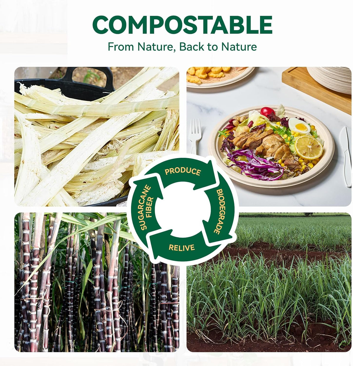 9 Inch Paper Plates Disposable Compostable Nature 150 Pack