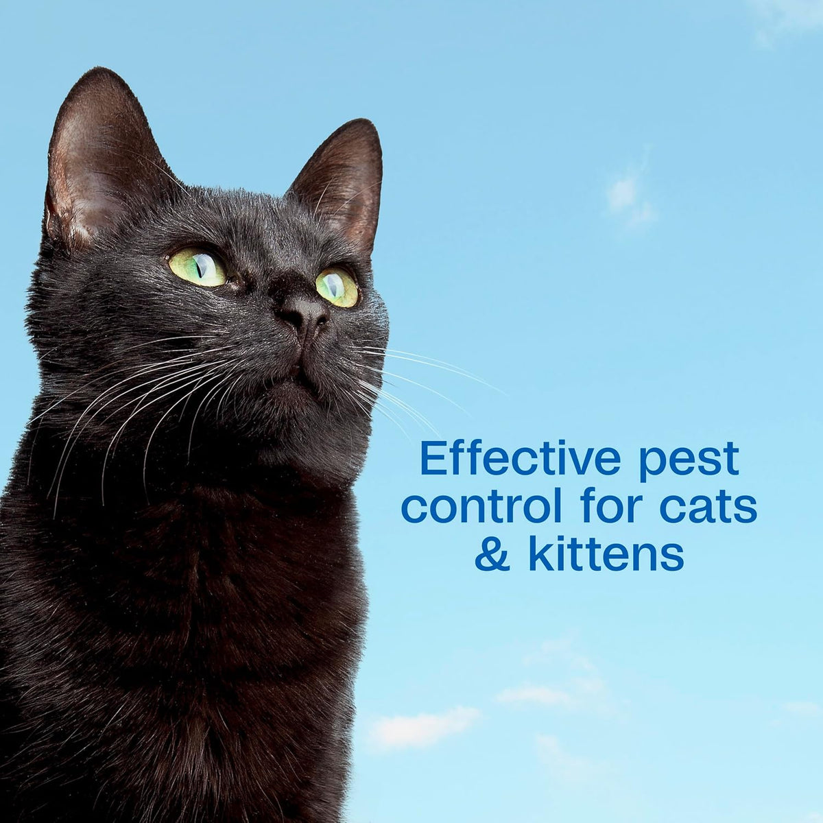 Plus Flea & Tick Foaming Shampoo & Wash, Cat Flea Shampoo, 10 oz