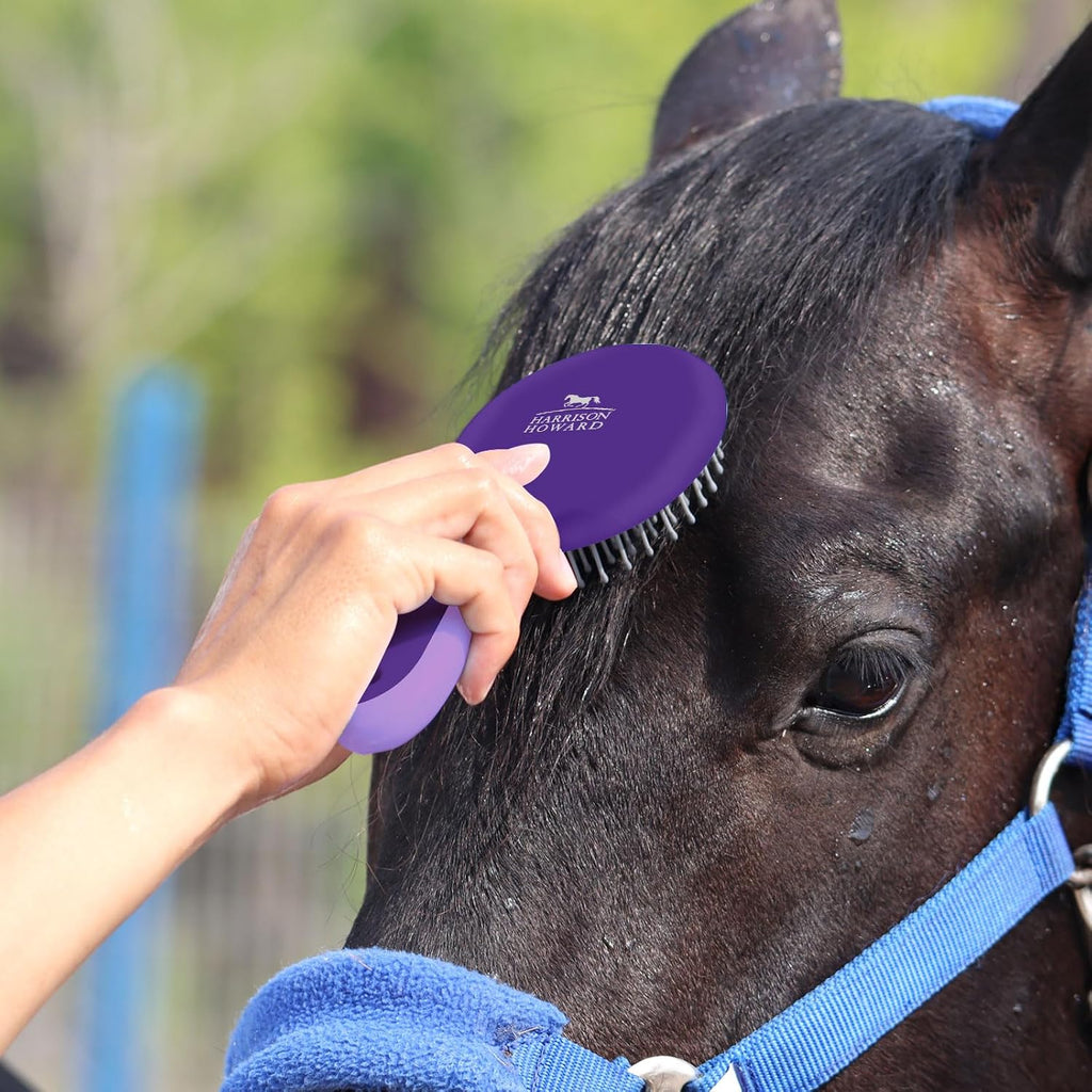 Horse Mane and Tail Brush, Professional Grooming Brush