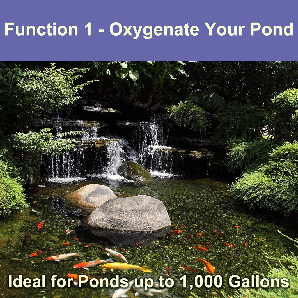 All-in-One Koi Pond Aerator for Outdoor Pond up to 1000 Gallons, Air Pump Aeration Kit with 2 Outlets Air Stones