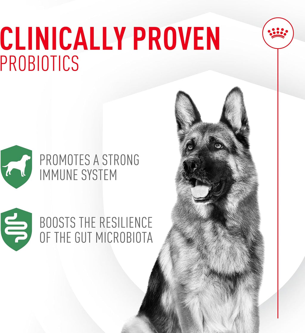 Probiotics for Dogs Digestive and Immune Health Powder Supplement for Dogs of All Ages, 30 Count