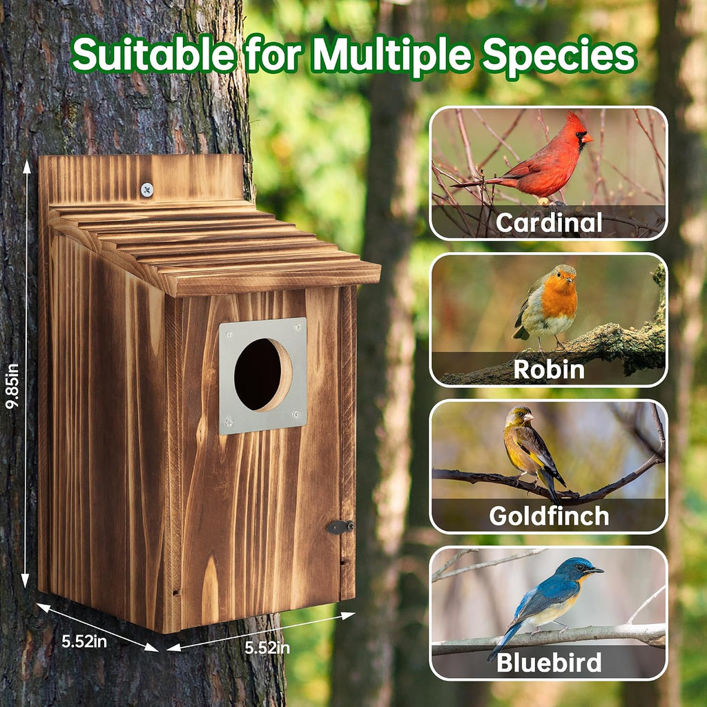 Bird Houses for Outside with Metal Predator Guard