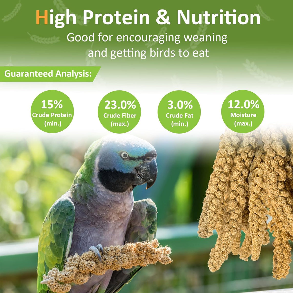 Spray Millet for Birds 5LB - All Natural Sun-Dried Healthy Treat, Millet Spray for Parakeets, Parrots, Lovebirds