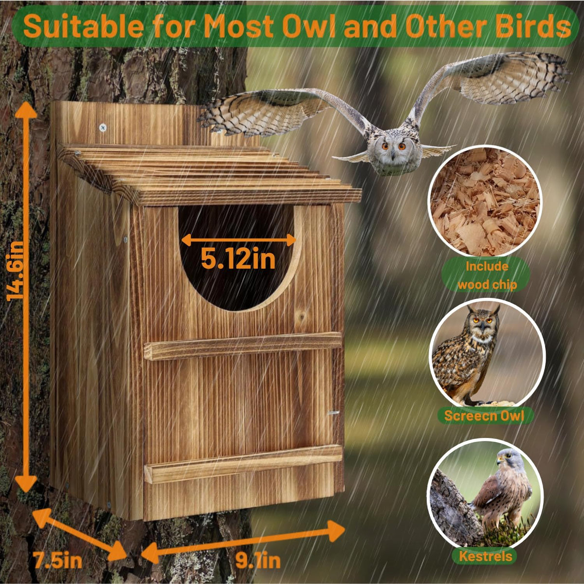 Owl Box, Carbonized Pine Screech Owl Nesting Box