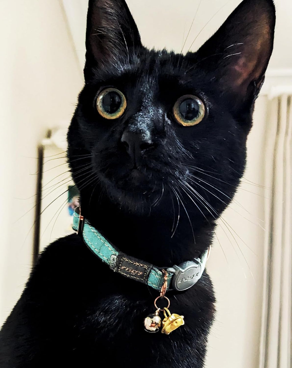 Urban Cat Safety Collar Small/Medium - Turquoise Moon