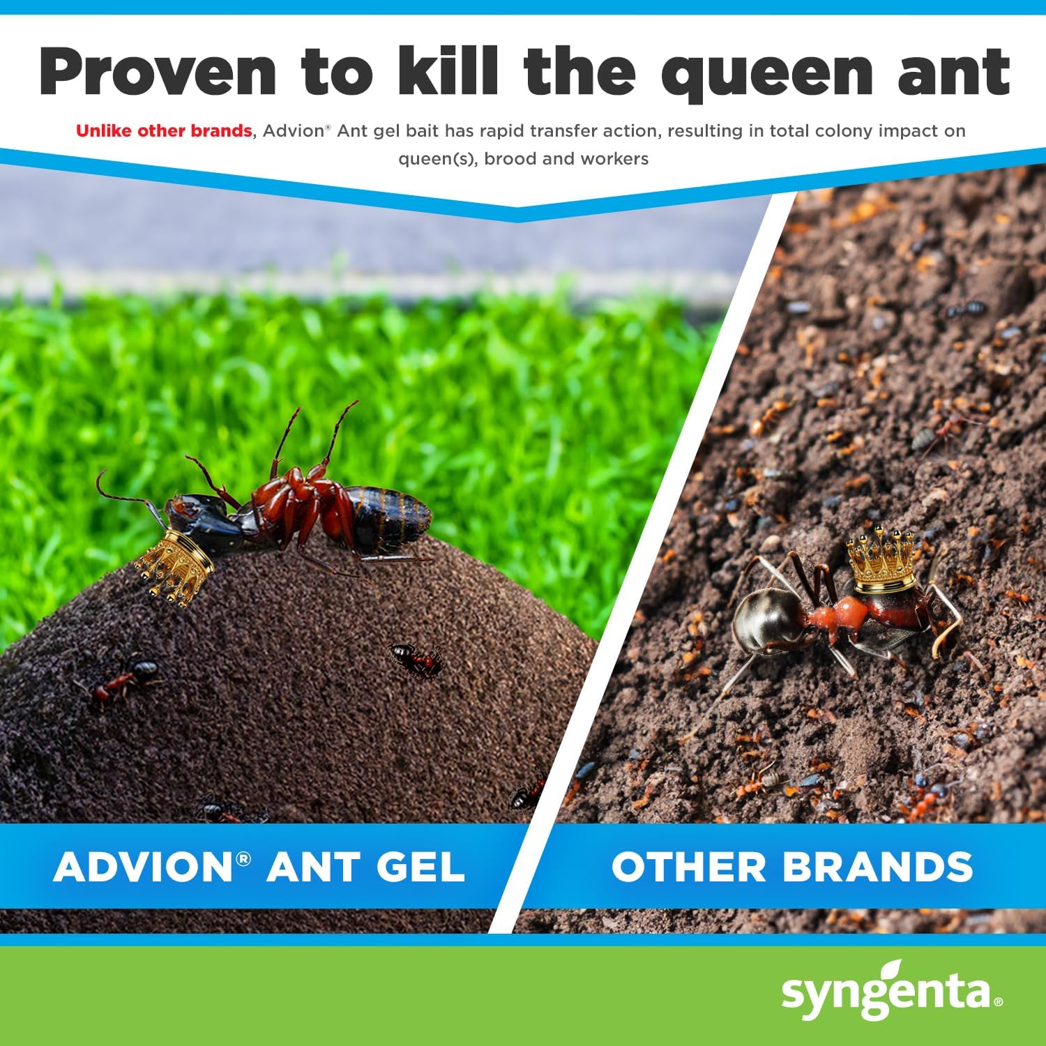 Syngenta Advion Ant Gel Station Insecticide, Ready-to-Use Gel Bait with The Active Ingredient Indoxacarb, Ant Bait