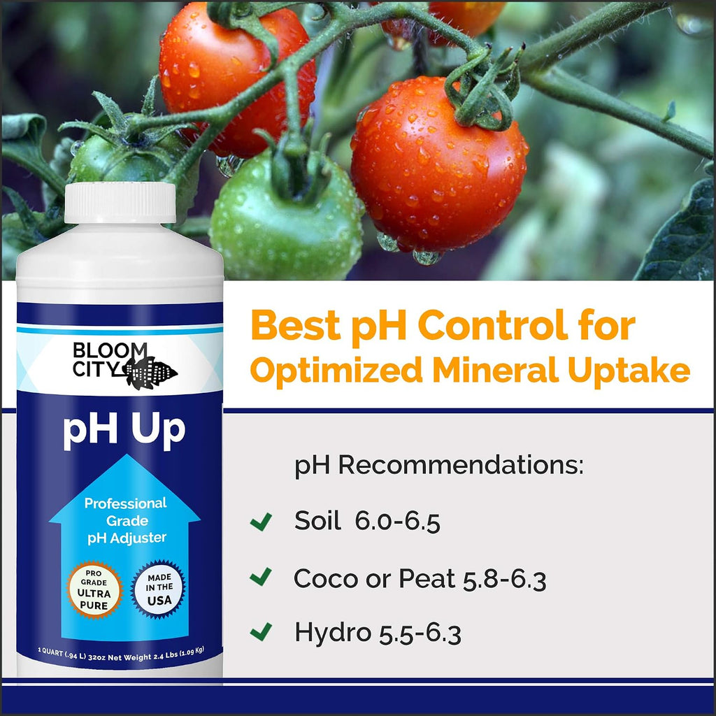 Professional pH Up Liquid Fertilizer, Quart (32 oz)