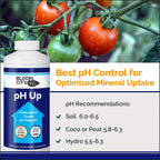 Professional pH Up Liquid Fertilizer, Quart (32 oz)