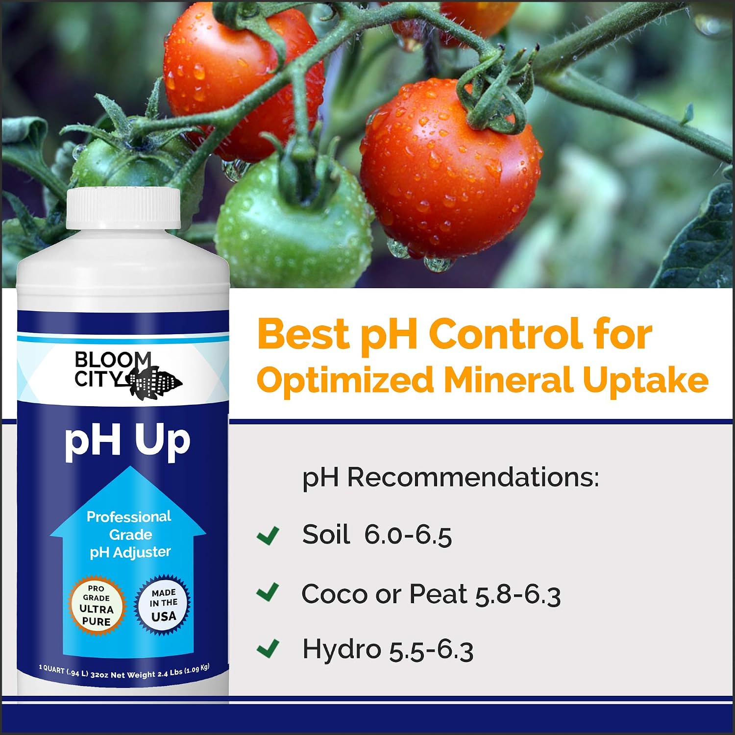 Professional pH Up Liquid Fertilizer, Quart (32 oz)